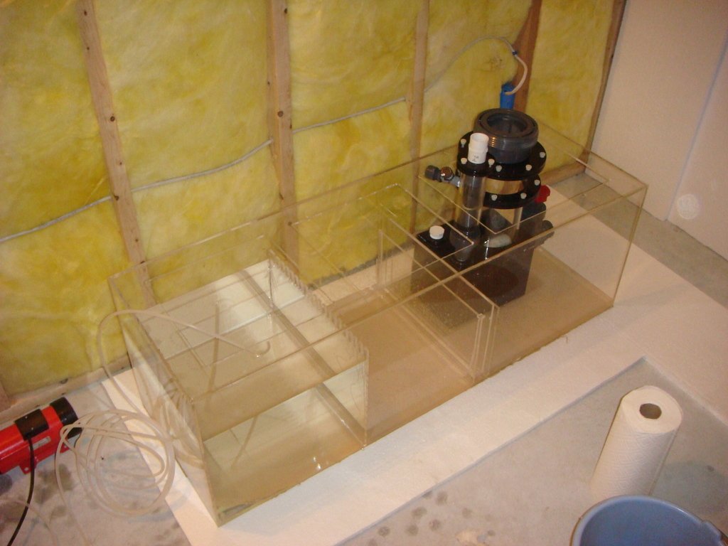 Sistema de acuario marino con sump y equipo de filtración visible